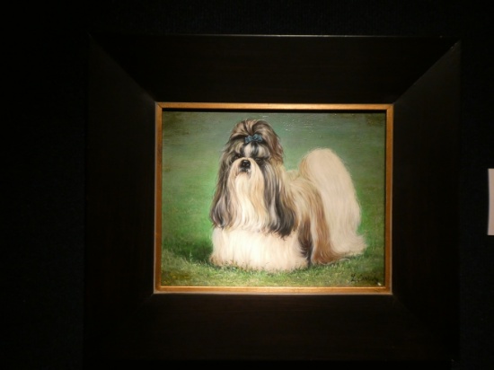Cassidy Shih Tsu Oil Painting