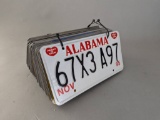 Complete Collection of License Plates from All 50 USA States