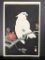 Japanese Woodblock Print Depicting Cockatoo and Pomegranate by Ohara Koson
