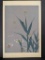 Japanese Woodblock Print Fireflies by Kyobashi Masuichi Shin Hanga Movement
