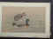 Japanese Painting on Silk Depicting Two Ducks on Water