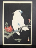 Japanese Woodblock Print Depicting Cockatoo and Pomegranate by Ohara Koson