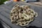 NEW - 5/16 20ft chain.  Hooks on both ends.  Grade 70