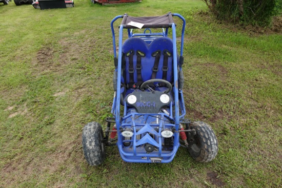 NAPA go cart