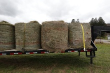 4 X 4 round bale - 3rd cutting