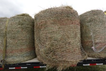4 X 4 round bale - 3rd cutting