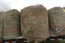 4 X 4 round bale - 3rd cutting