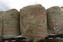 4 X 4 round bale - 3rd cutting