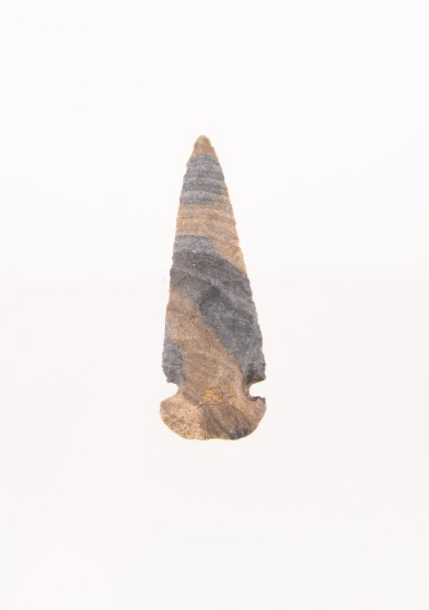A 2-5/8" Dovetail Point Made from a colorful Blue and Grey Chert.