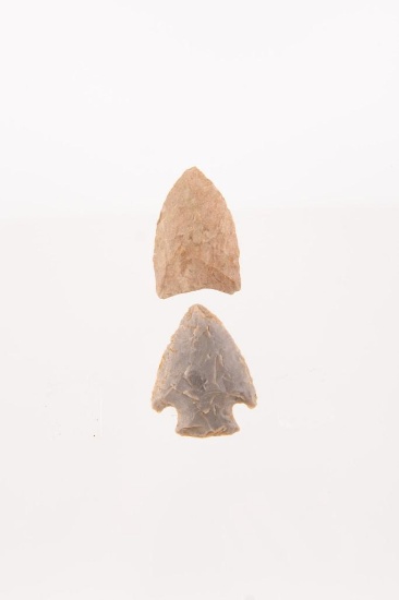 A Group of Two points. A Paleo Dart Point and Archaic Point