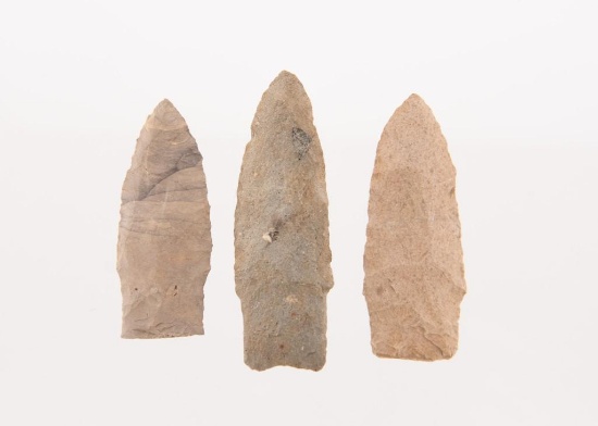 Three Paleo Points Found in Michigan.