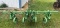3pt Cultivators