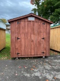 8 x 12 stained shed