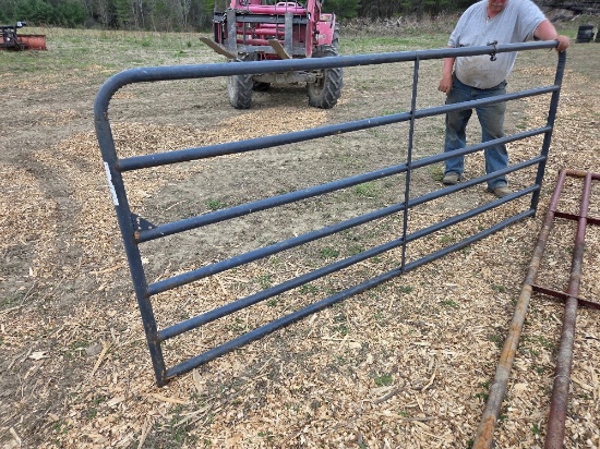 1 Blue 10ft Gate