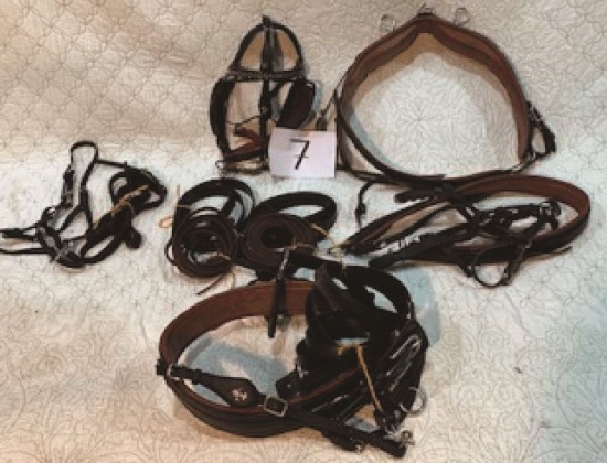 Tonies Harness 14 to 15H