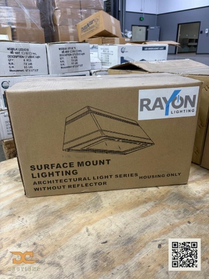 (7) Rayon Lighting Surface Mount Lights