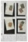 Stamp Collection