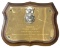 Law Enforcement Award Plaque
