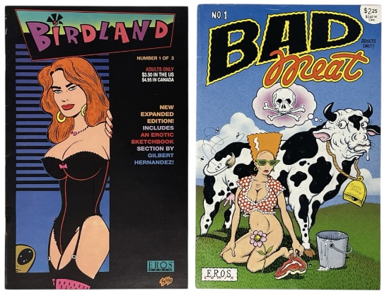 Erotic Adult Comic Book Collection