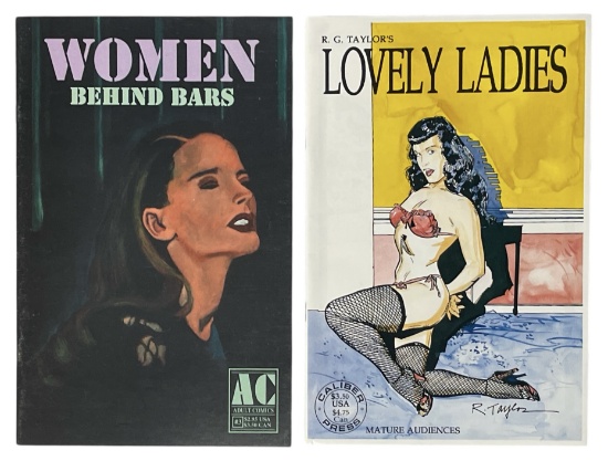 Erotic Adult Comic Book Collection