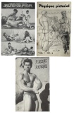 Physique Pictorial and Athletic Model Guilds Collection