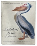 Audubons Birds of America | Book