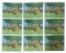 Beetle Bailey | Cels