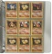 Pokemon Trading Card Collection