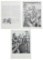 Erotic Adult Book Pages