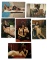 Erotic Adult Photo Collection