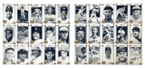 Baseball Cards | Sports Collectors Cards