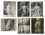 Vintage Burlesque Photo Collection