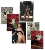 Erotic Adult Photo Collection