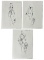 Christian Dior | Original Dior Stamp On Fashion Sketches | Prints
