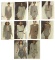 Runway Photography Collection | Iconic Luxury Designer Brands