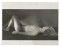 Adult Photo