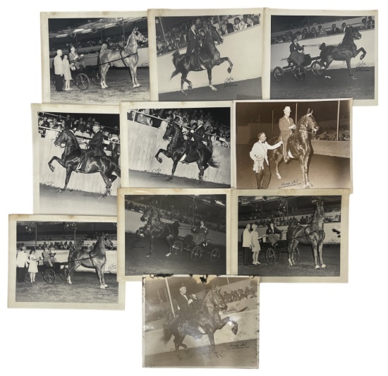 Vintage Horse Rally Photo Collection