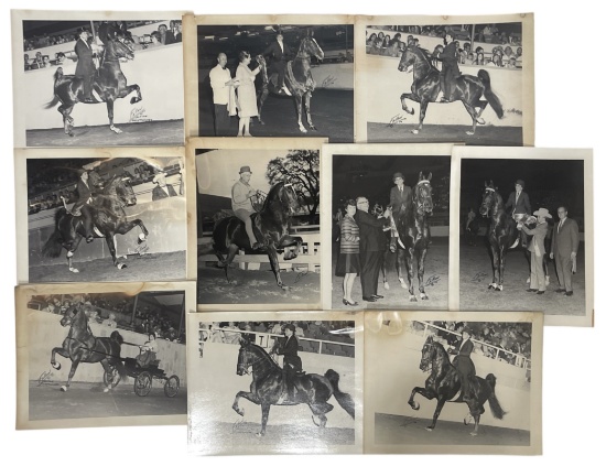 Vintage Horse Rally Photo Collection