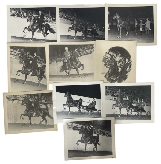 Vintage Horse Rally Photo Collection