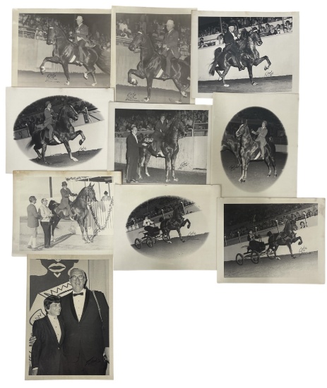 Vintage Horse Rally Photo Collection