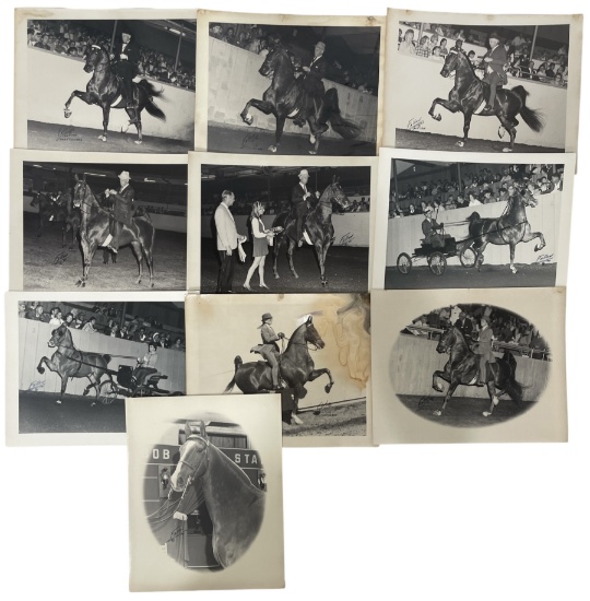 Vintage Horse Rally Photo Collection