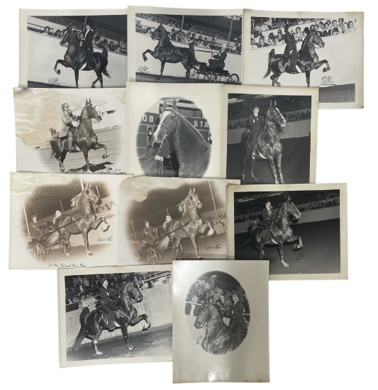 Vintage Horse Rally Photo Collection