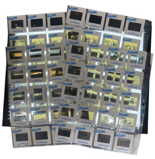 Photo Slide Collection
