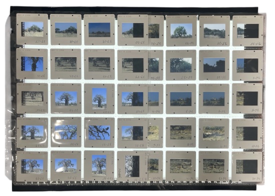 Photo Slide Collection
