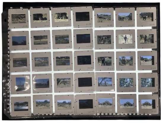 Photo Slide Collection