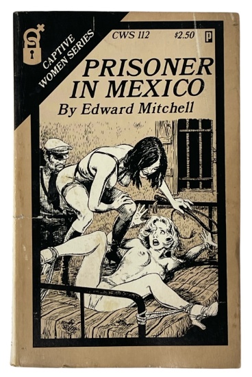 Erotic Adult Novel