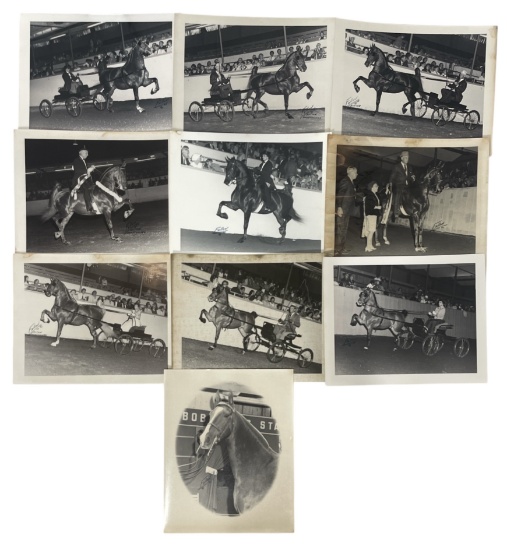 Vintage Horse Rally Photo Collection