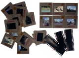 Photo Slide Collection