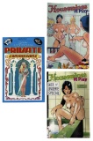 Erotic Adult Comic Book Collection