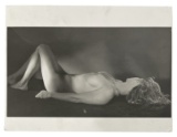 Adult Photo